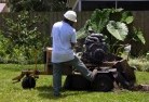 O connell QLDstump-grinding-services-1.jpg; ?>