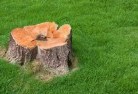 O connell QLDstump-grinding-services-2.jpg; ?>