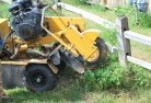 O connell QLDstump-grinding-services-3.jpg; ?>